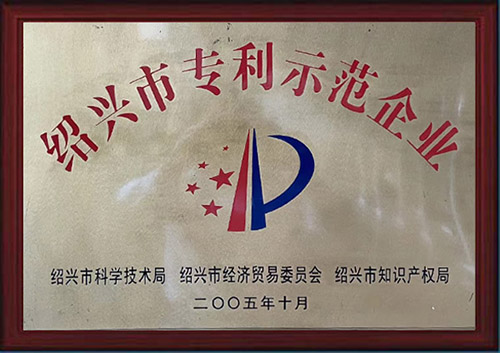 2005年荣获绍兴市专利示范企业.jpg